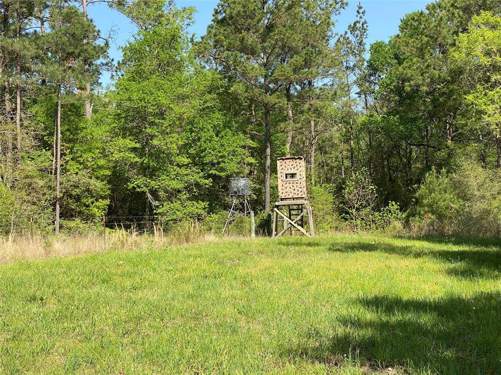 Anderson, TX 77830,67.75 acres Tract B County Road 215