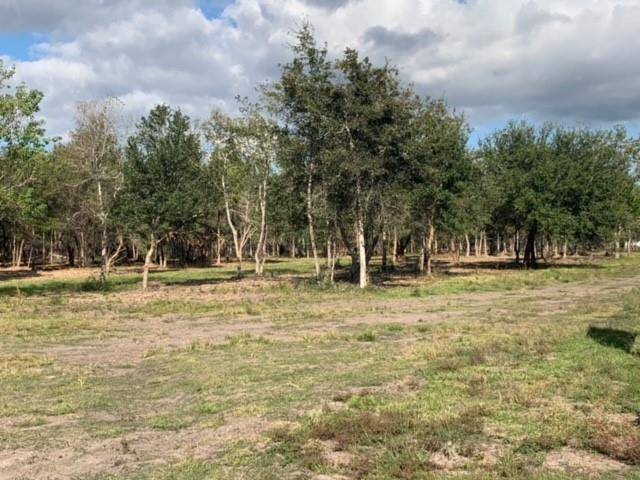 Alvin, TX 77511,3680 County Road 326 Lot 12