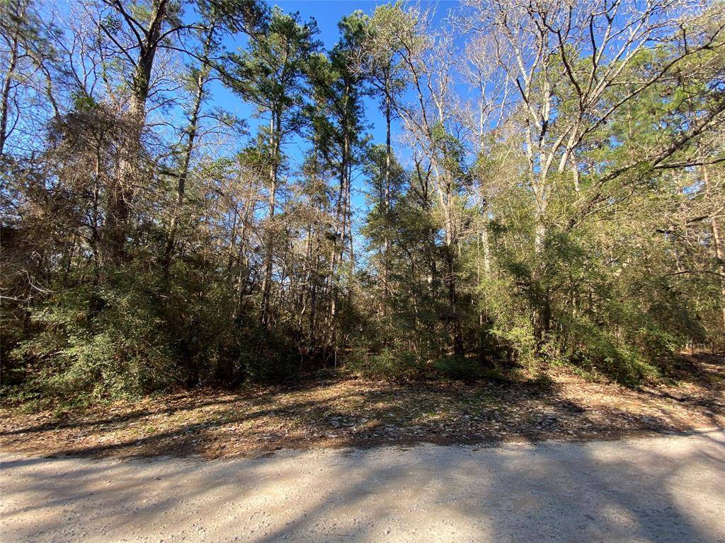 Plantersville, TX 77363,000 Dogwood LN