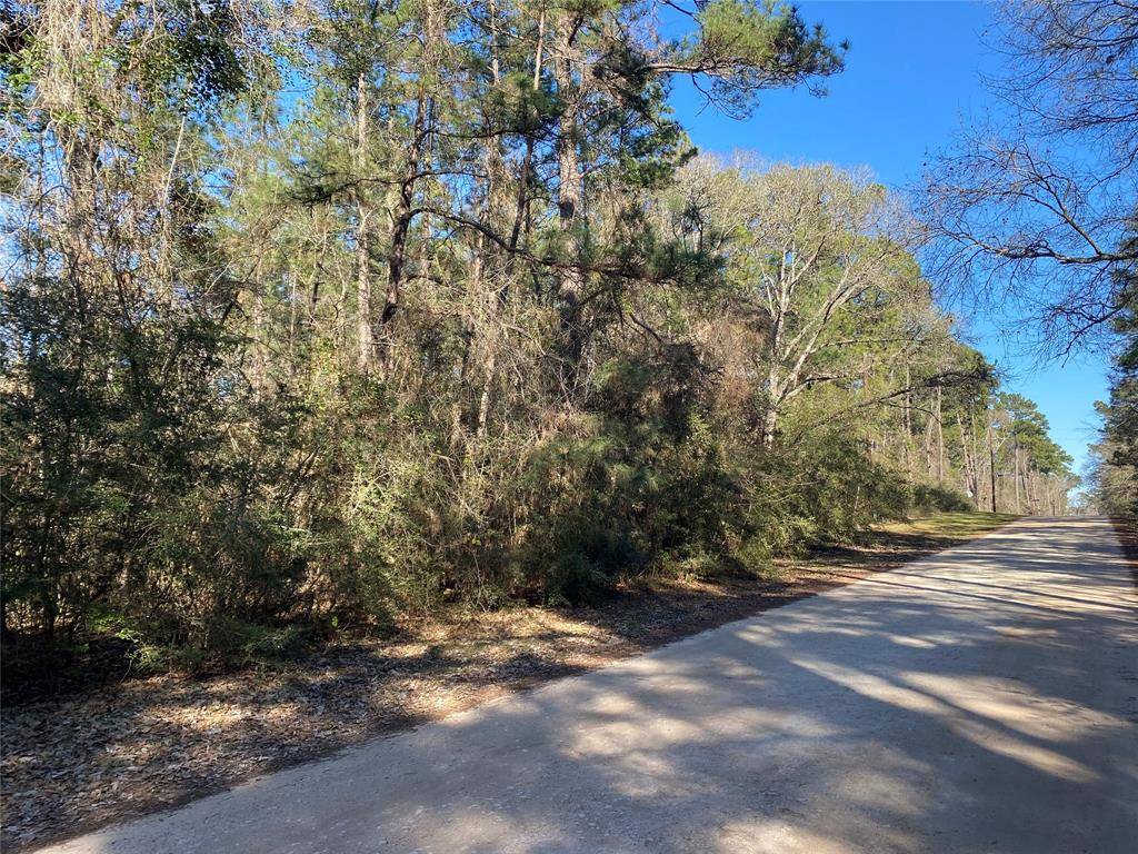 Plantersville, TX 77363,000 Dogwood LN