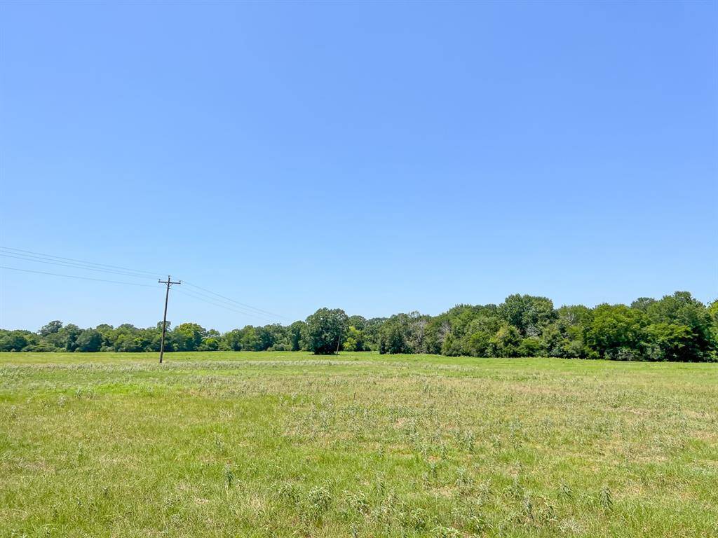 Lovelady, TX 75851,06 Private Road off 3625A