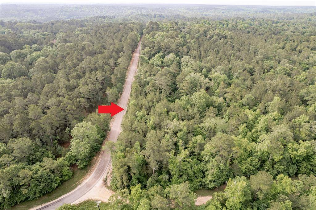 Coldspring, TX 77331,Lot 184 Morris Creek RD