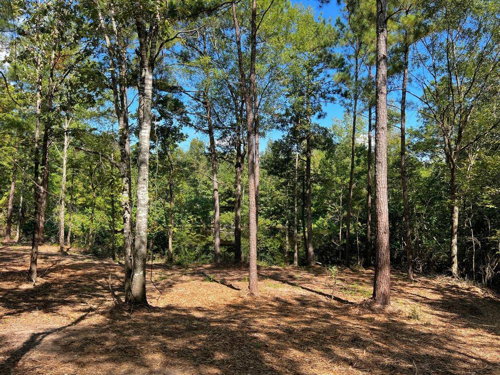 Huntington, TX 75980,03 Eugene Walker Road