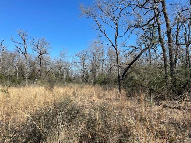 Centerville, TX 75833,TBD County Road 317