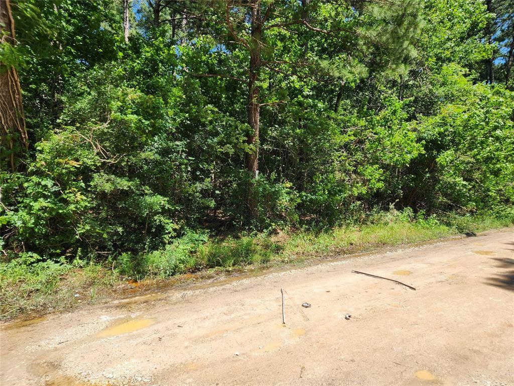 Plantersville, TX 77363,Lot 2 Live Oak DR