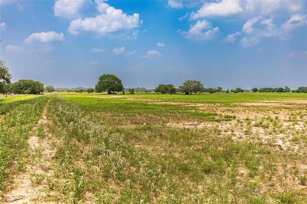 Columbus, TX 78934,2948 County Road 106