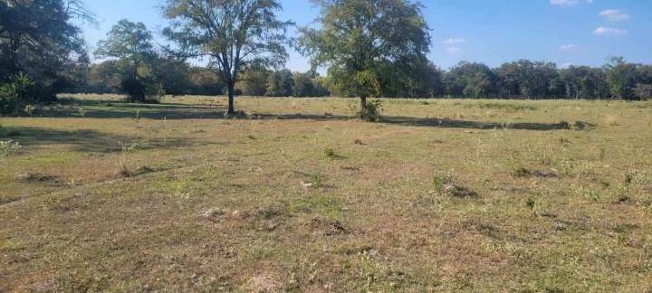 Lovelady, TX 75851,TBD County Rd 3495