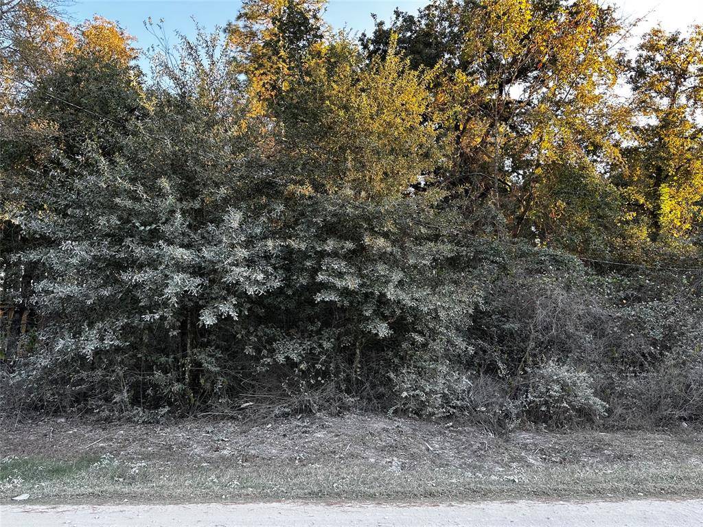 Plantersville, TX 77363,Lot 5 Tawnyberry- LN