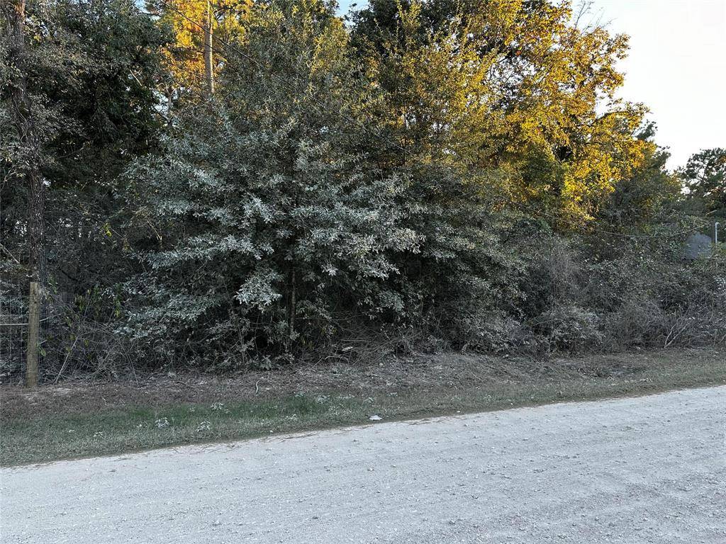 Plantersville, TX 77363,Lot 5 Tawnyberry- LN