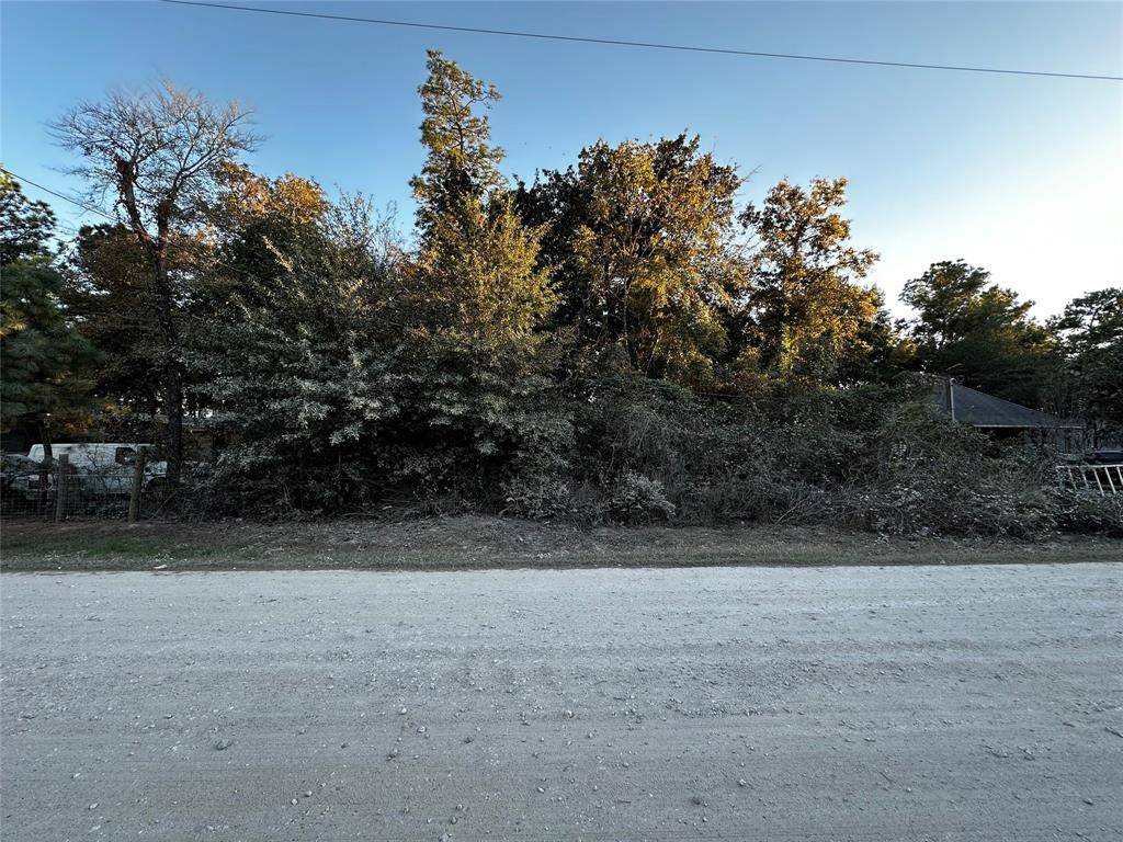 Plantersville, TX 77363,Lot 5 Tawnyberry- LN