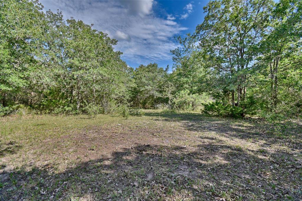 Schulenburg, TX 78956,3531 Seidel RD