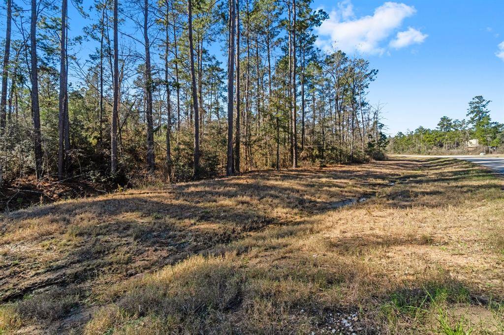 Willis, TX 77378,10710 Ruger RD