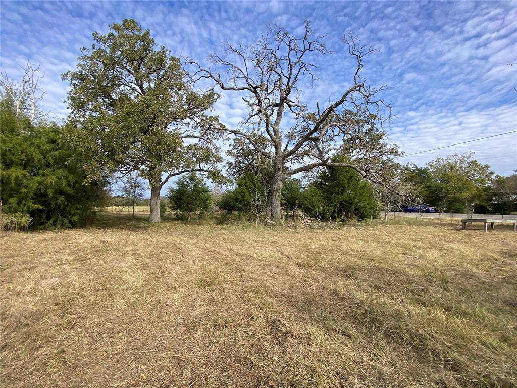 Bedias, TX 77831,12.17 Acres Tx-90