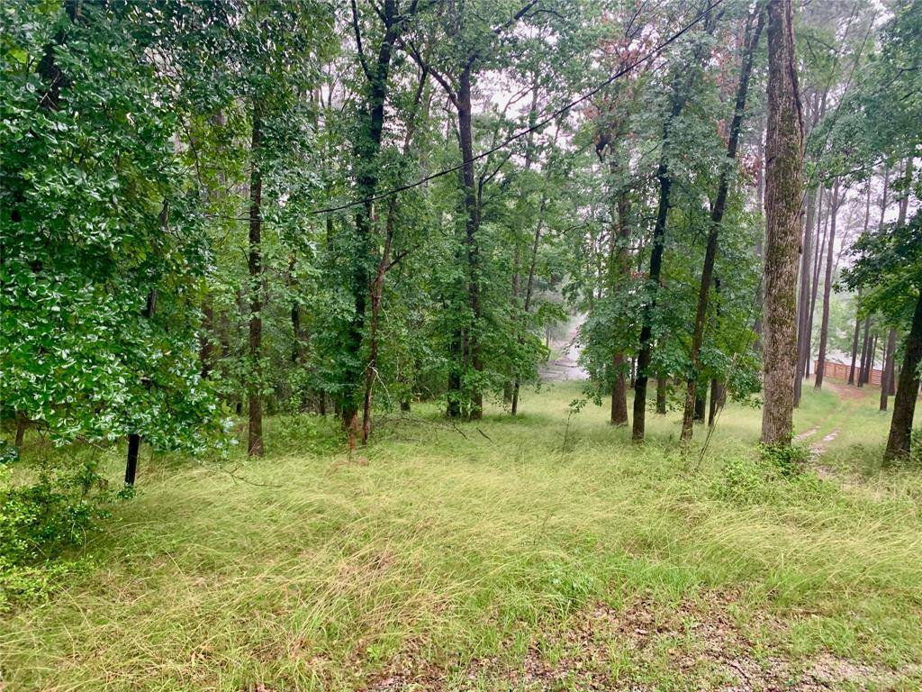 Trinity, TX 75862,Lot 82 Pine CIR