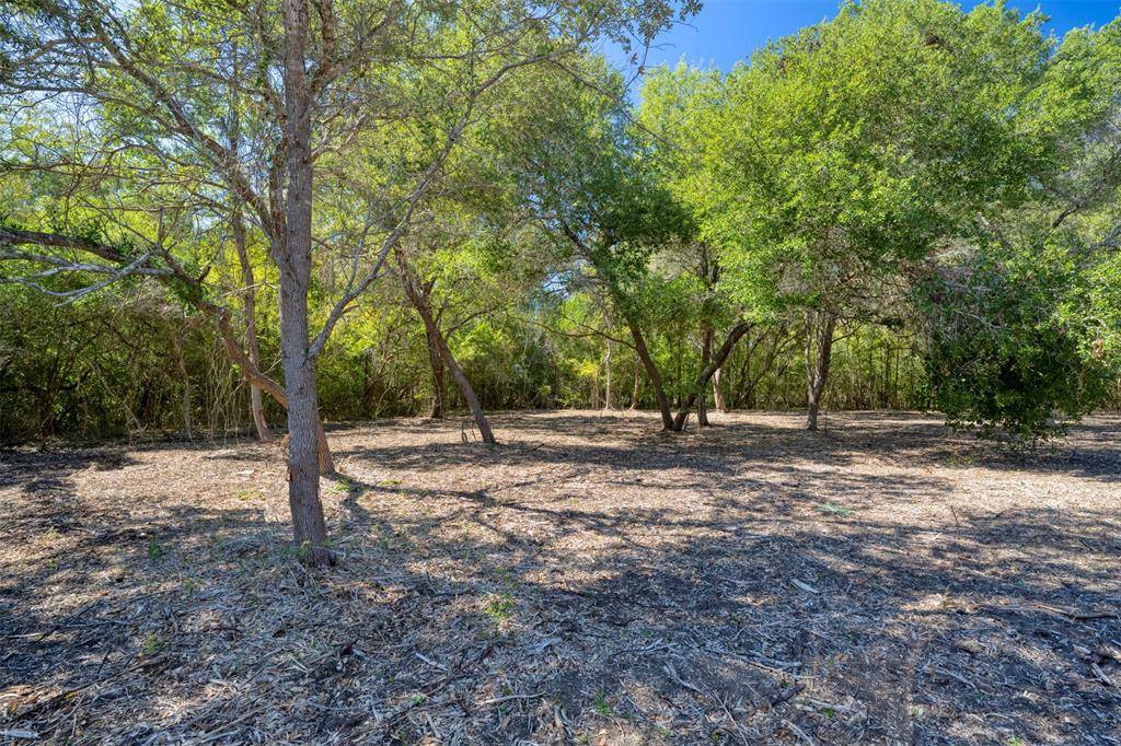 Chappell Hill, TX 77426,1 Chappell Creek LN