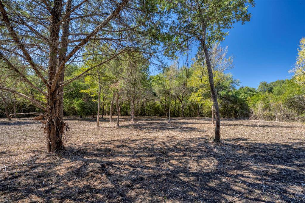 Chappell Hill, TX 77426,1 Chappell Creek LN