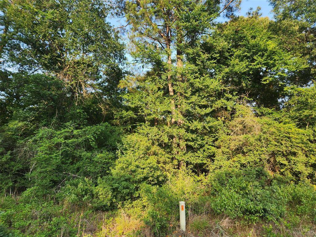 Plantersville, TX 77363,Lot 19 Mossyknoll DR