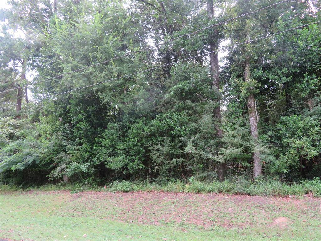 Village Mills, TX 77663,LOT 9 Hornbeam DR