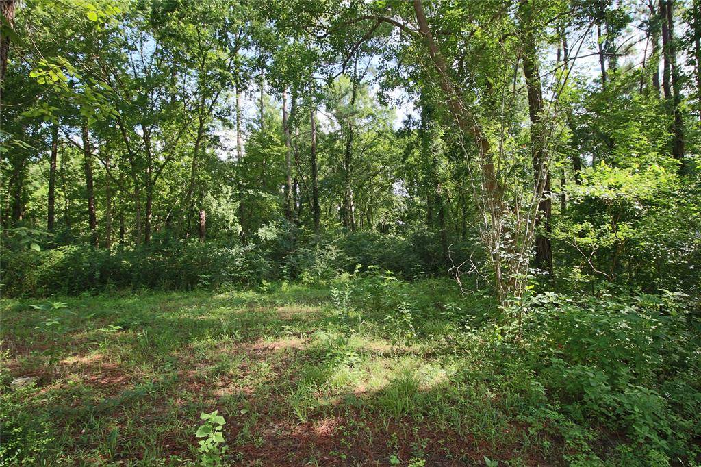 Huffman, TX 77336,Lot 42 Finch LN