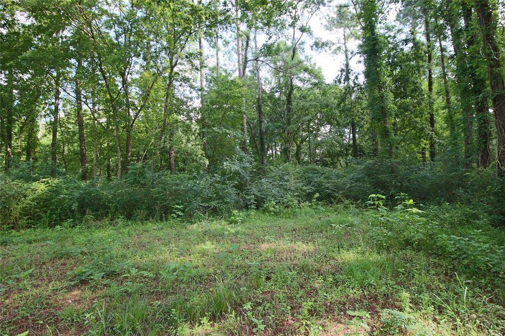 Huffman, TX 77336,Lot 42 Finch LN