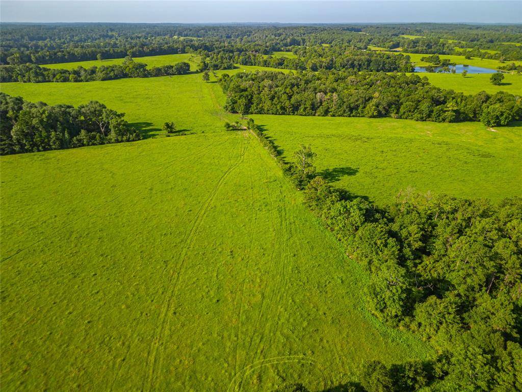 Woodville, TX 75979,0 Farm to Market 256