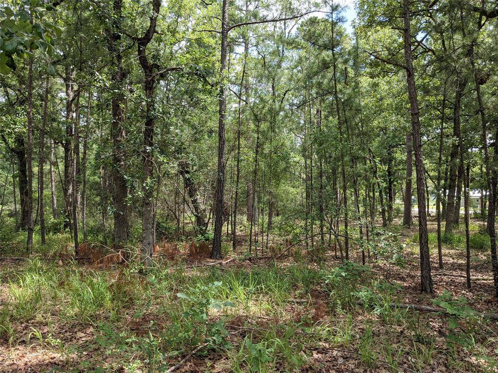 Huntsville, TX 77320,TBD Houston Lot 210 DR