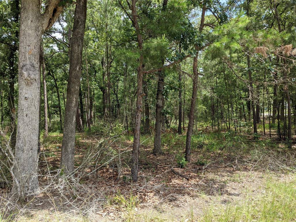 Huntsville, TX 77320,TBD Houston Lot 210 DR