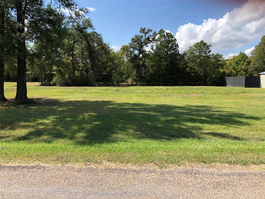 Trinity, TX 75862,TBD Cutter Drive DR