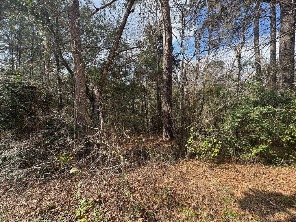 Coldspring, TX 77331,Lot 217 Mallard DR