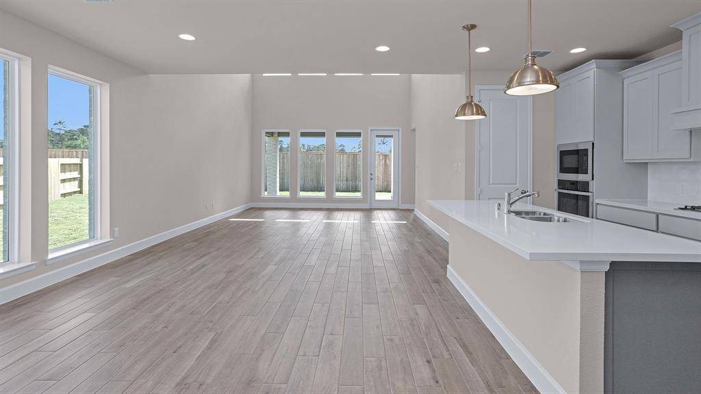 Magnolia, TX 77354,14711 Band Tailed Pigeon CT