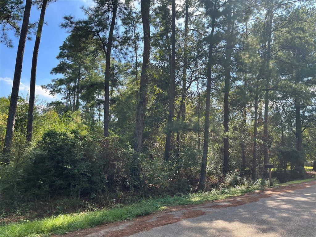 Magnolia, TX 77354,TBD Meadow Wood DR