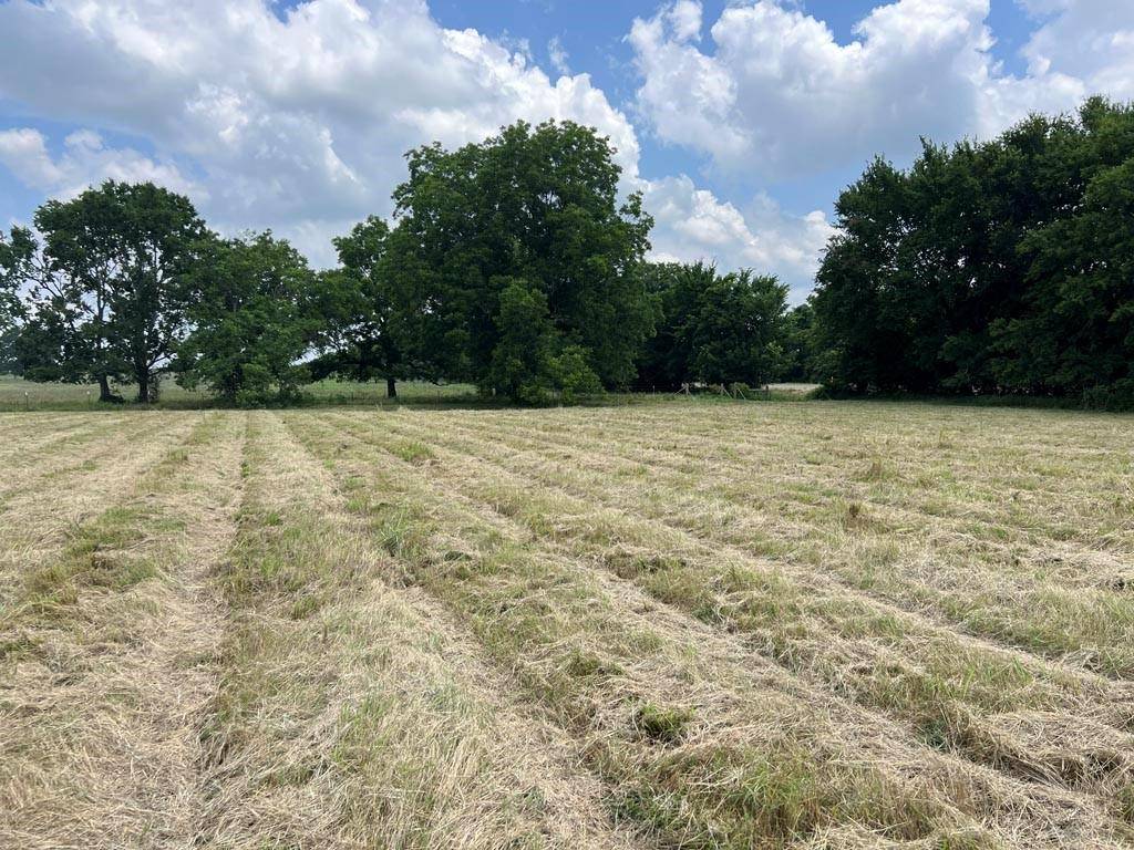 Anderson, TX 77830,TBD FM 2562 RD E