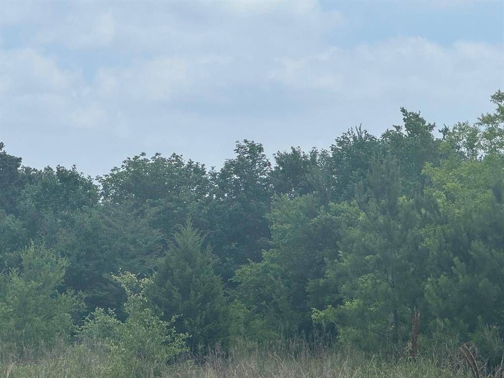 Navasota, TX 77868,000 Buffalo Trl