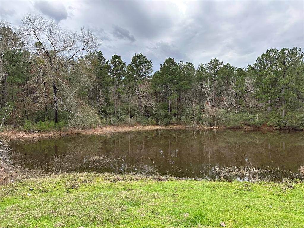 Trinity, TX 75862,Lot 67 & 68 Nottoway LN