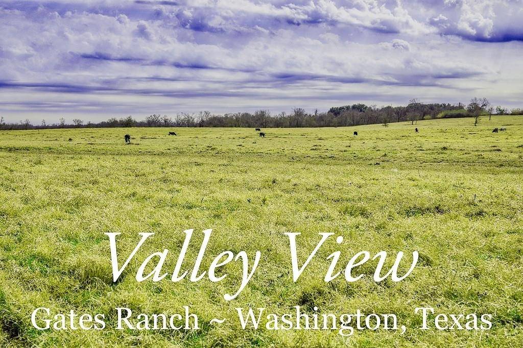 Washington, TX 77880,TBD 00 FM 2726 RD