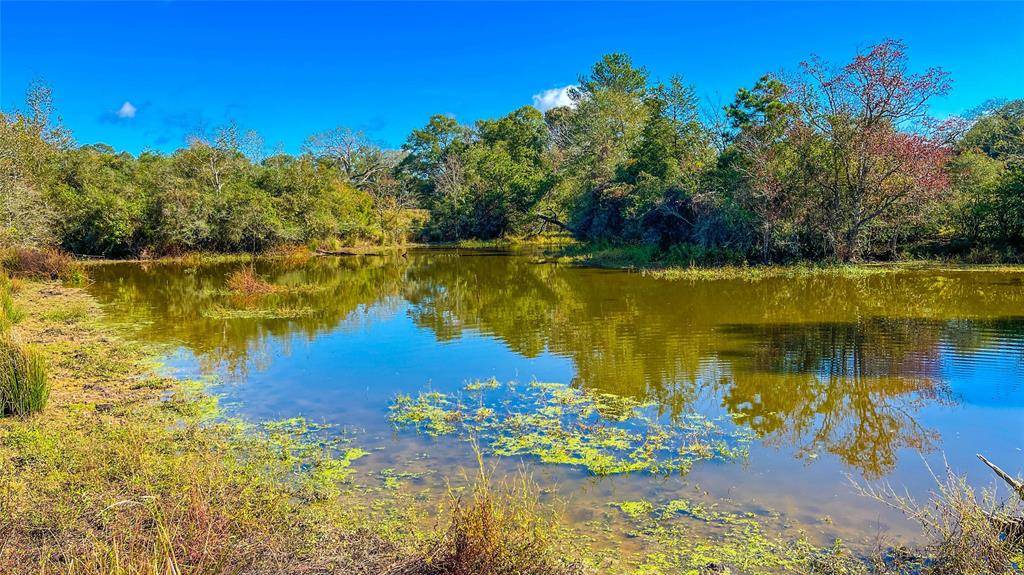 Woodville, TX 75979,1 TBD County Road 2780