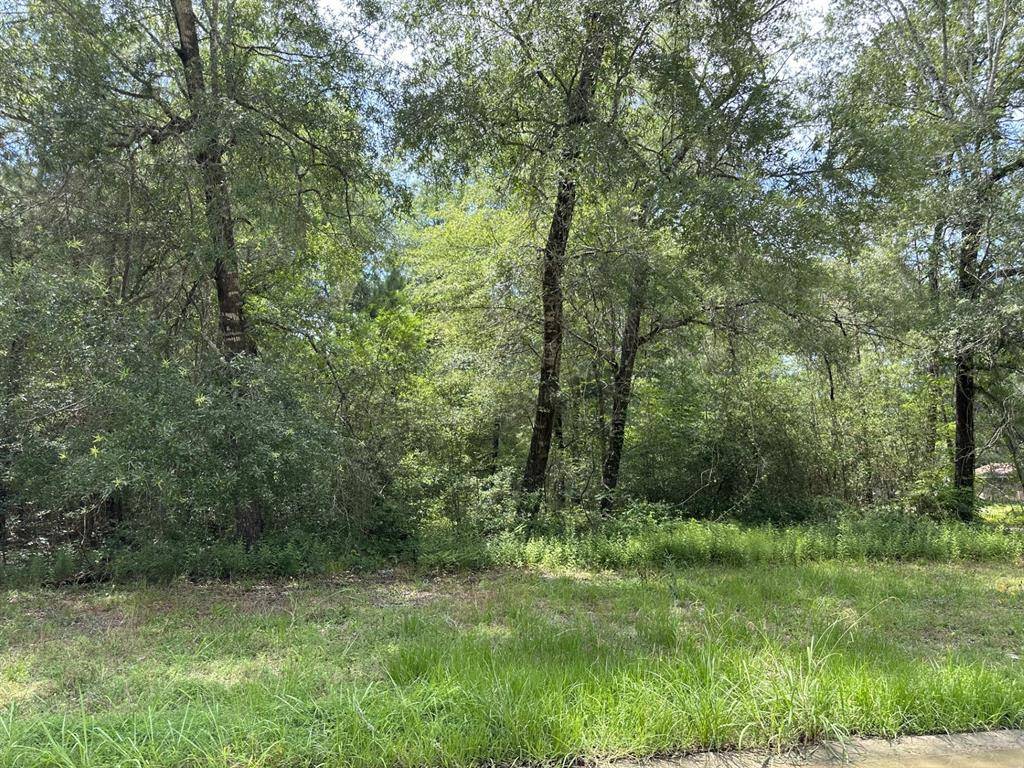 Livingston, TX 77351,LOT 117 Windwood DR