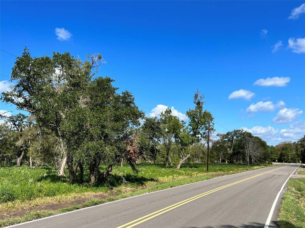 Brazoria, TX 77422,LOT 1 CR 506