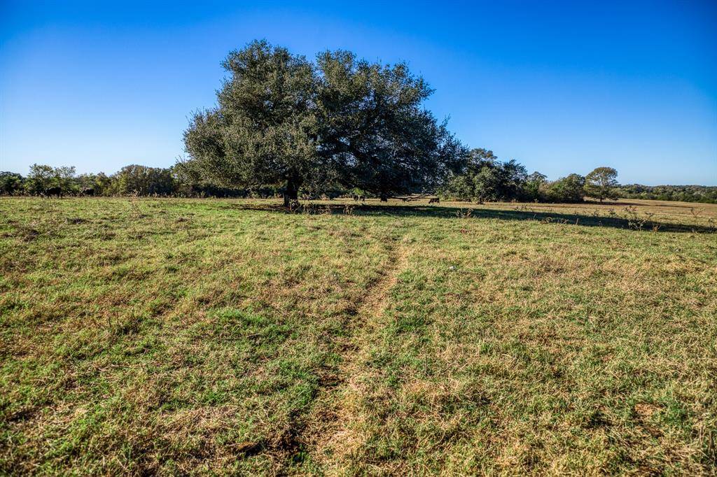 Brenham, TX 77833,02 Sawmill Road Tract 2