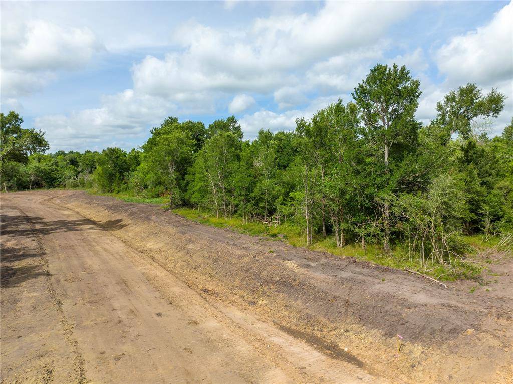 Chappell Hill, TX 77880,00 Fm 1155 Lot 25 N