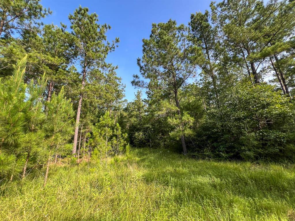 Huntsville, TX 77320,5 FM 2989