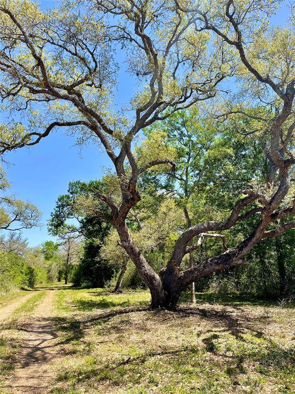 Edna, TX 77957,0 County Road 317