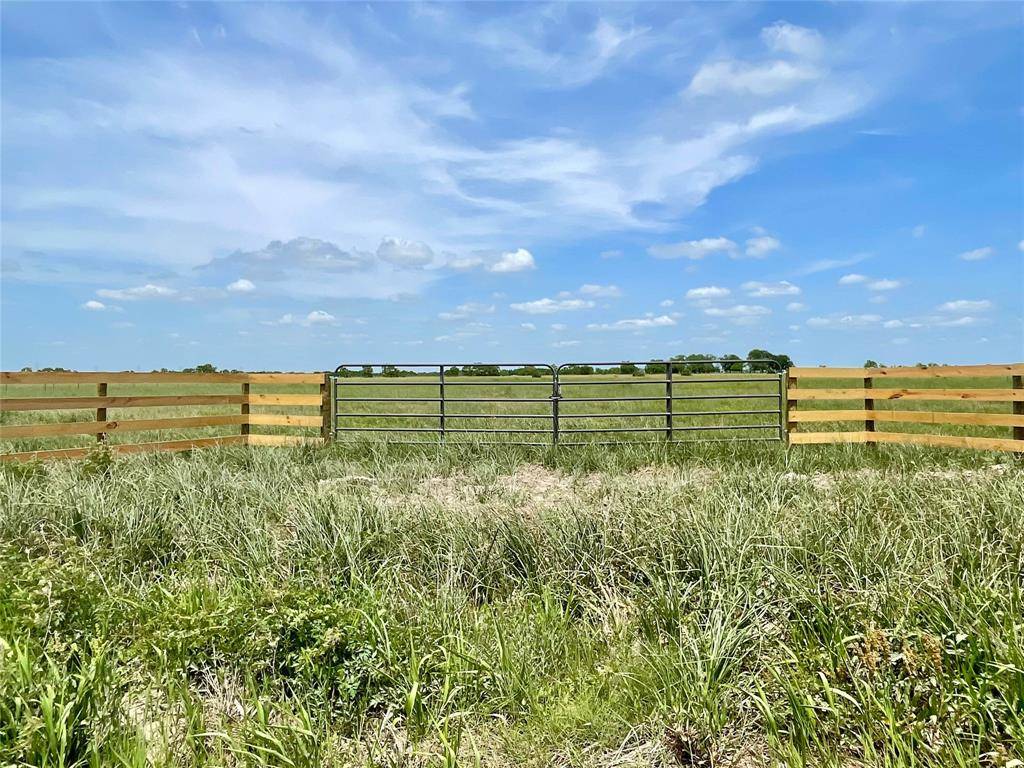 Guy, TX 77444,tbd Wolfgang RD