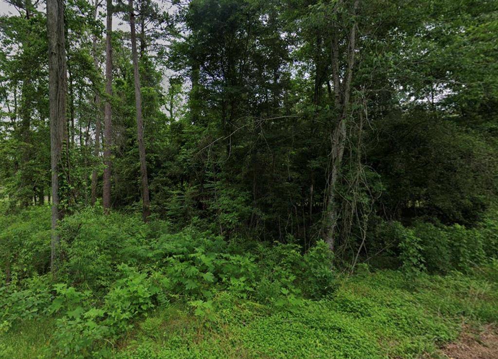 Burkeville, TX 75932,Lot 7 White Oak