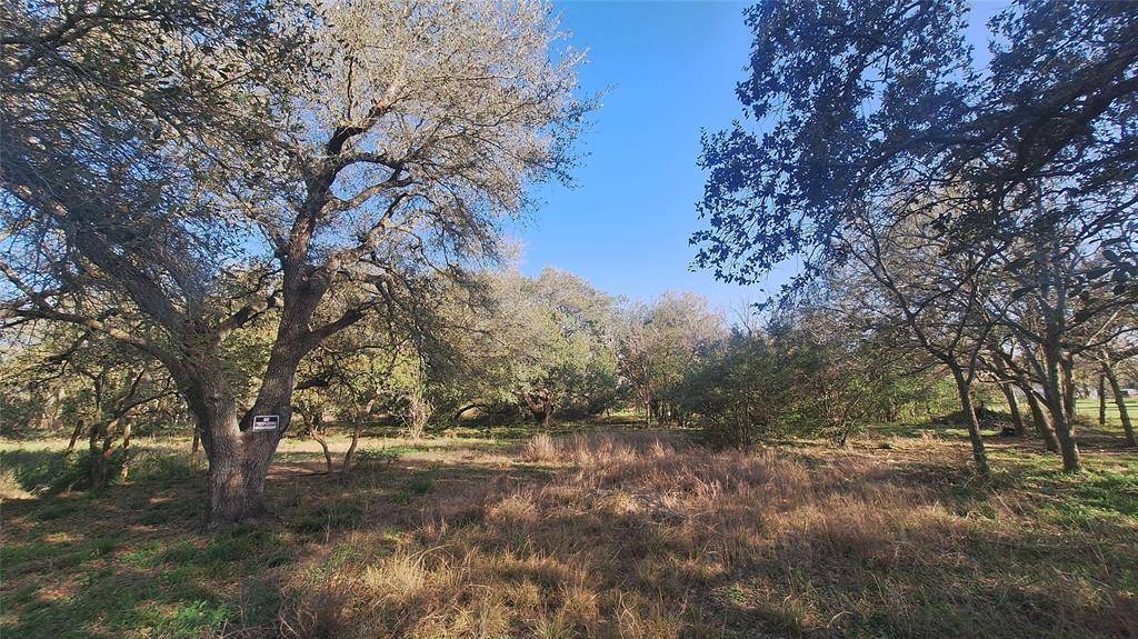 Van Vleck, TX 77482,TBD Avenue D