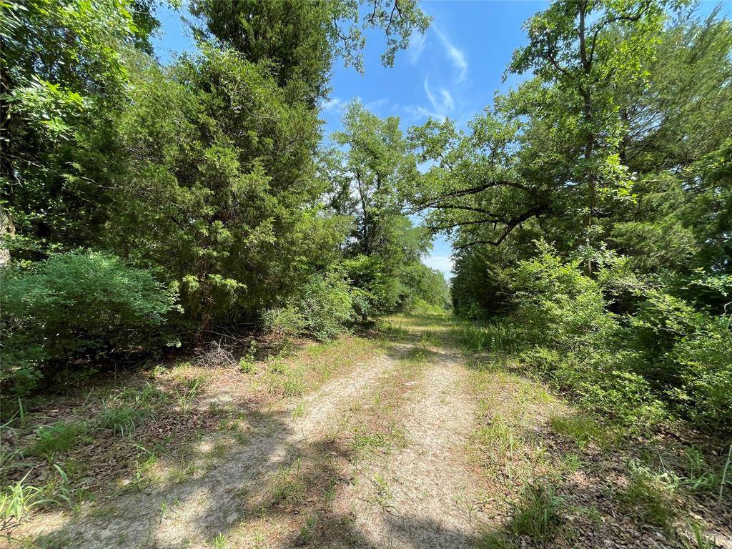 Fairfield, TX 75840,TBD Tract 15 FM 3285