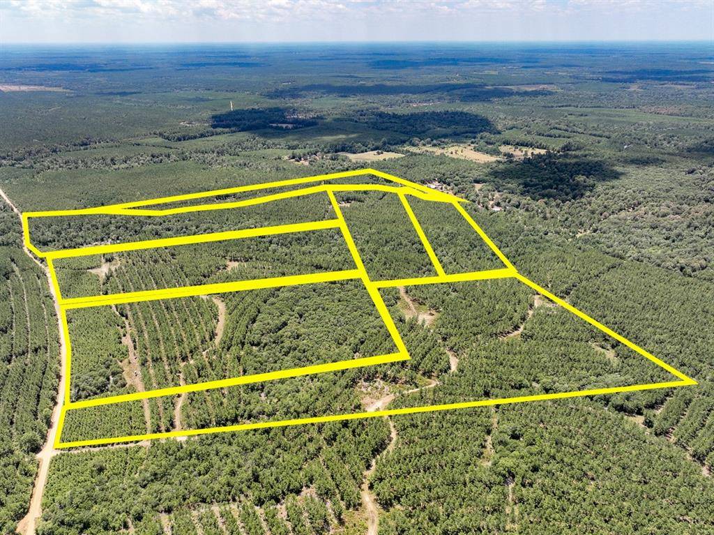 Warren, TX 77664,000 County Road 1420