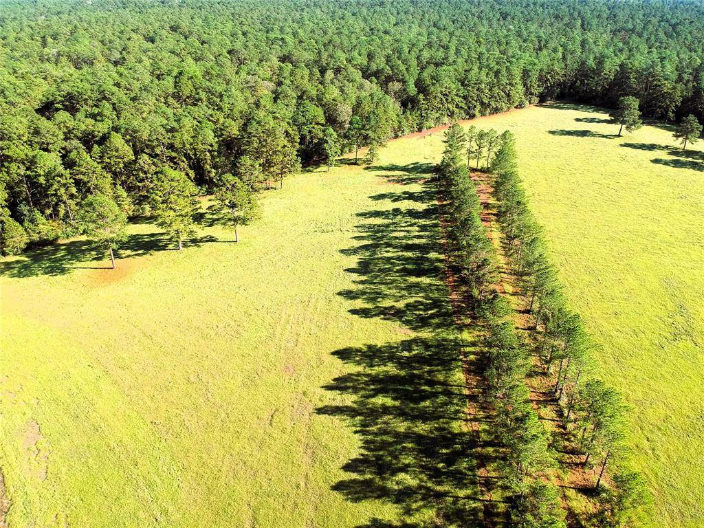Hillister, TX 77624,TBD E Lakeland Court Lot 18