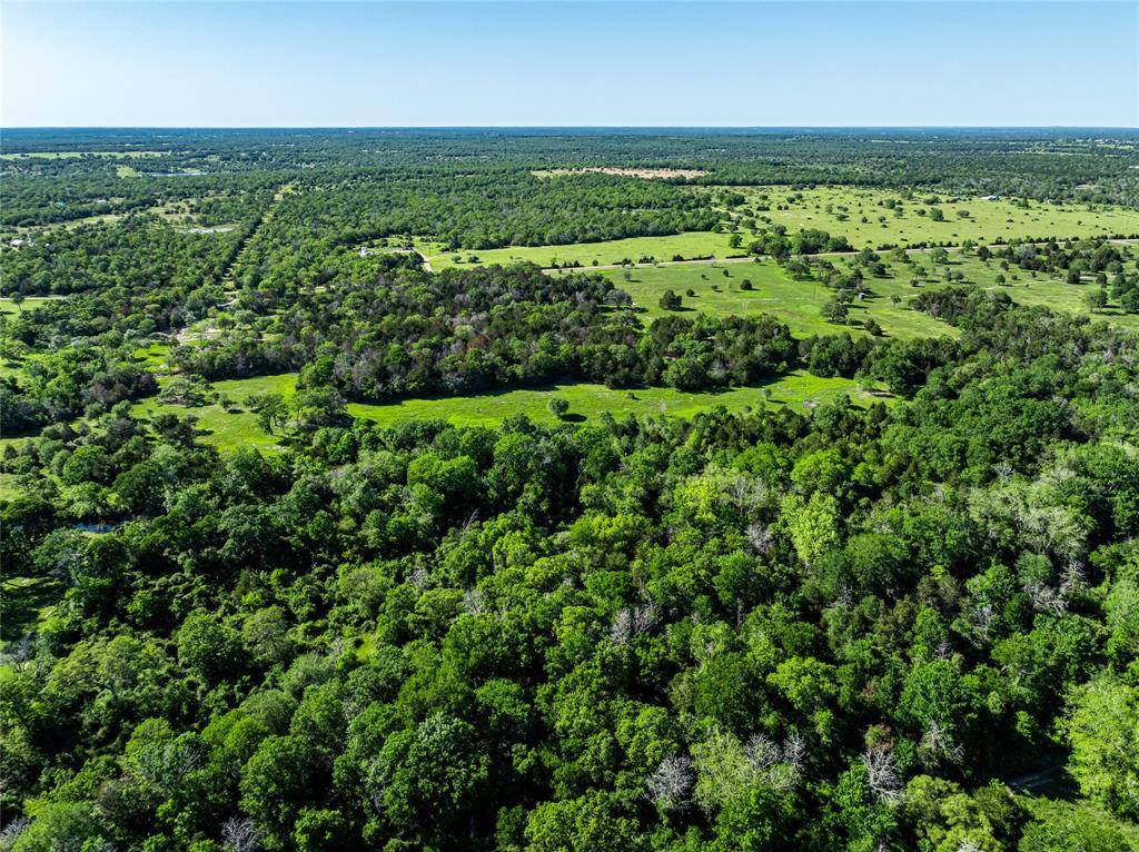 Carmine, TX 78932,TBD Schoenst Road - Tract 2