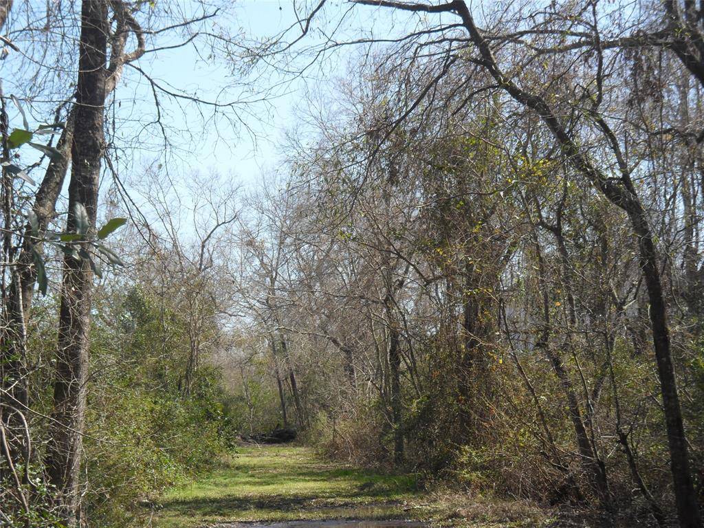 La Porte, TX 77571,0 S Donaldson